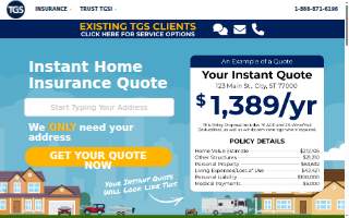 TGS Insurance Agency website