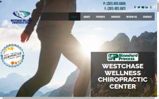 Westchase Wellness Chiropractic Center website