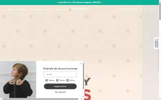 Rideau Law Firm, PLLC website