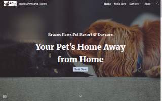 Brazos Paws Pet Resort & Daycare website