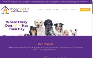 Doggy Day Out Kennel & Daycare website