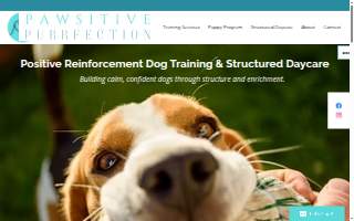Pawsitive Purrfection LLC website