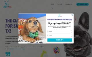 Pettito website