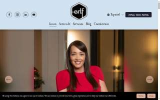 San Antonio Immigration Lawyer - Elizabeth Reed website