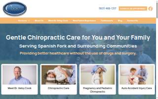 Cook Chiropractic website