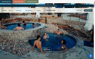 WorldSprings website