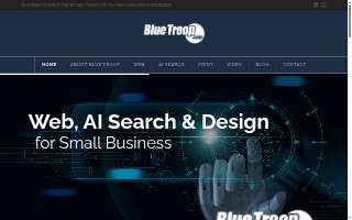 Blue Troop Web Design website