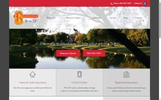Bergfeld Agency website