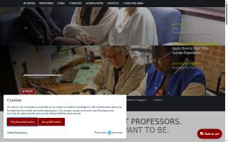 Cazares Driving School website
