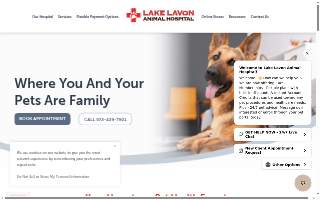 Lake Lavon Animal Hospital website