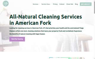 cleaner. website
