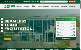 Custom Website Development website