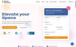 Elevate Paint Pros website