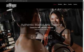 One Hit MMA website