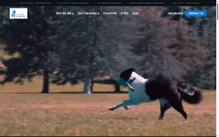 Canine by Design website