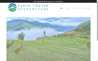 Earth Center Acupuncture website