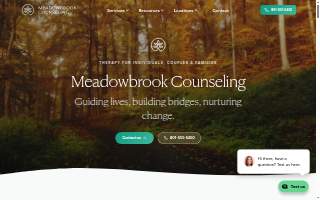 Meadowbrook Counseling of South Jordan website