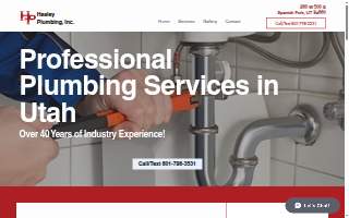 Healey Plumbing Inc website