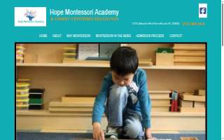 Hope Solutions Staffing website