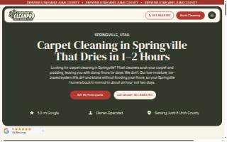 Cleanpro website