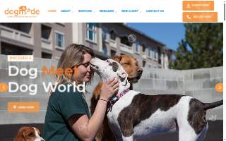 DogMode website
