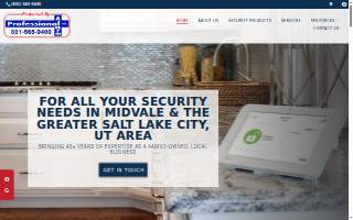 Professional Alarm website