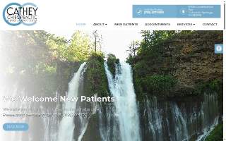 Cartow Towing website