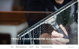 Streak Freak Window Washing website