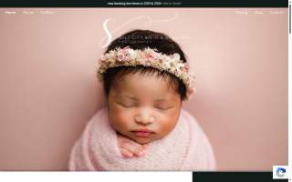 Salt City Birth and Newborn Photography website