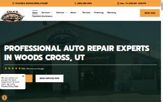 Cole's Auto Repair & Service website