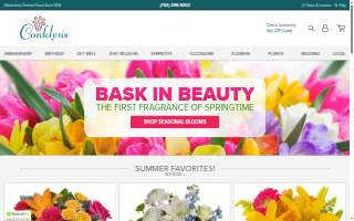 Conklyn's Florist of Alexandria website