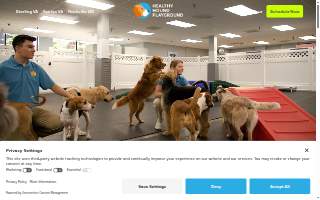 Healthy Hound Playground & Grooming website