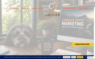 Creative Juices Marketing & Advertising Agency website