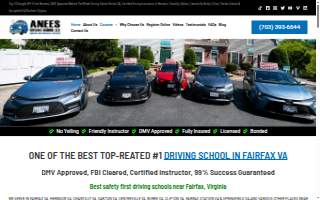 ANEES Driving School LLC of Centreville website