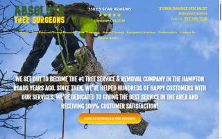 Absolute Tree Surgeons LLC website