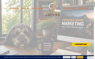 Creative Juices Marketing & Advertising Agency website