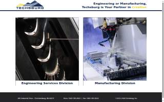 Techsburg, Inc. website