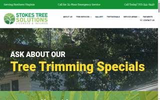 Stokes Tree Solutions website