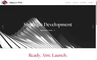 Agilla Pro Consulting website