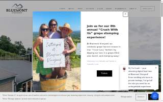 Bluemont Vineyard website