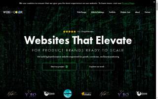 Webs of Color website