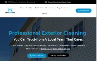 Magic Wand Pros website