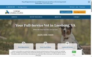 Towne Animal Clinic website
