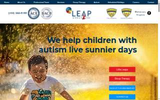 Leap Ahead Inc website