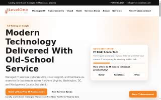 Level1 Solution, Inc website