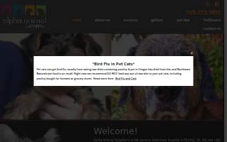 Alpha Animal Hospital website