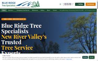 Blue Ridge Tree Specialists website