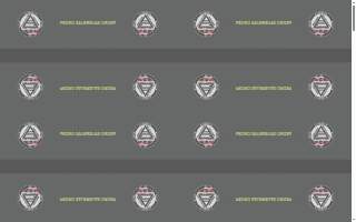 Pedro Sauer Academy of Self-Defense website