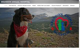 Brandon Animal Hospital website