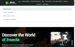 Bug Snap Pest Control website